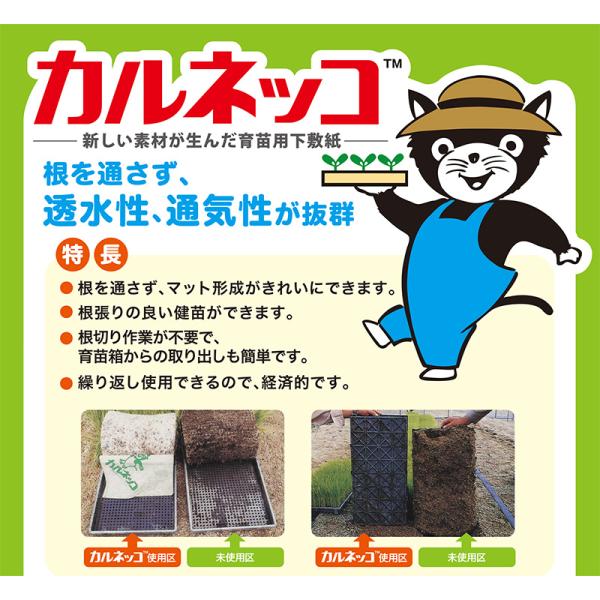 500�� �J���l�b�RS 500P ���� 28�~58cm ��c�� �p ���؂� �V�[�g �~�� ������ �ʋC�� �}�b�g MKV�A�h�o���X �J�{ DZ ���i�摜1