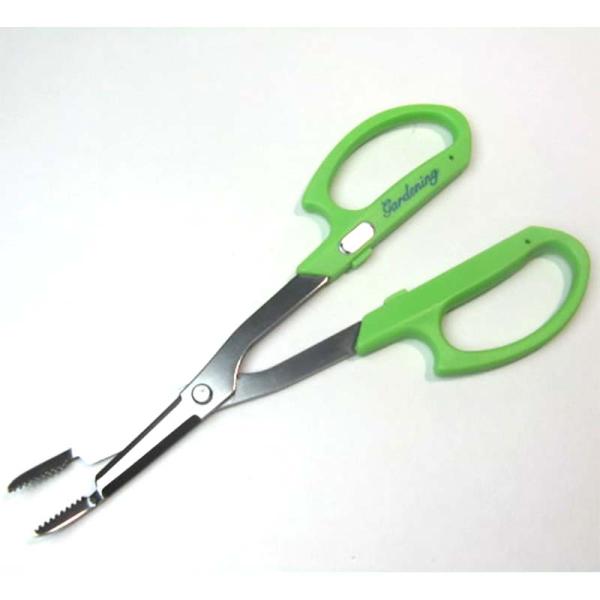 サボテン 虫除け 殺虫剤 防虫剤の人気商品 通販 価格比較 価格 Com