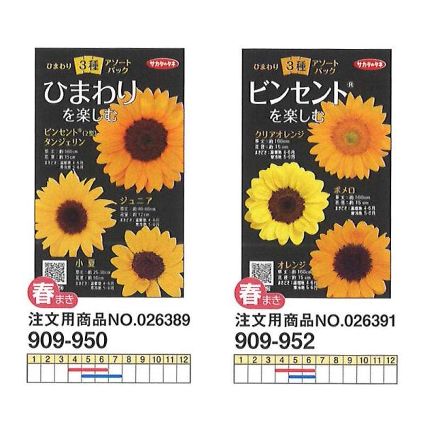 サカタのタネ ひまわり Diy 工具の人気商品 通販 価格比較 価格 Com