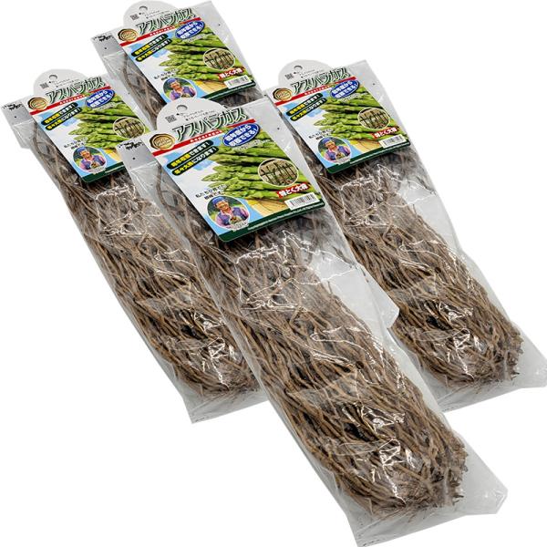 最近は体にいい食材としてTVや雑誌で注目されています。代表的な栄養素は、スタミナ増強・疲労回復などが期待されるアスパラギン酸です。アスパラガスは発芽したばかりの若芽の部分を食べるので、大きく成長しようとするエネルギーや栄養分をたくさんもって...