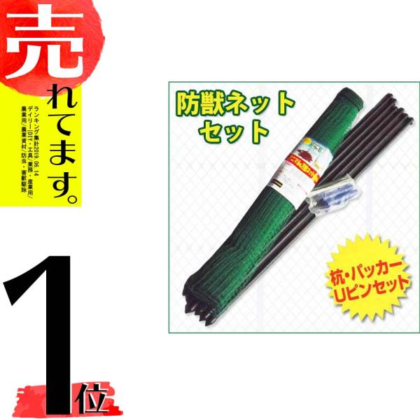 plusys_6651 plusys_6651