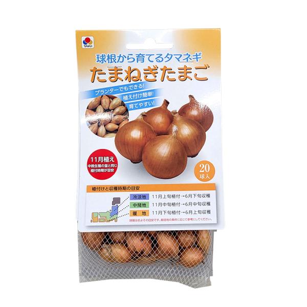 プランターでもできる！植え付け簡単！育てやすい！生産地：北海道薬物処理なし品種：ネオアース冷涼地：11月上旬植付→6月下旬収穫中間地：11月中旬植付→6月中旬収穫暖　地：11月下旬植付→6月上旬収穫※時期はおおよその目安です。　栽培地の条件...