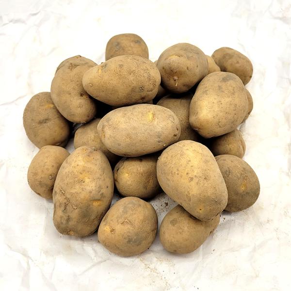 栽培用の種芋です。入荷時の重量になります。容量：1kgサイズ：2Sサイズ個数：約20〜25個/kg※画像は1kg分です。