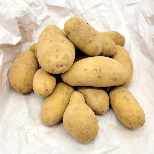 栽培用の種芋です。入荷時の重量になります。容量：5kgサイズ：混玉 S、2Sサイズ個数：約15〜17個/kg※画像は1kg分です。