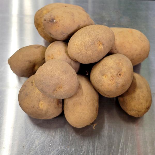 栽培用の種芋です。入荷時の重量になります。容量：3kgサイズ：混玉サイズ個数：約10〜15個/kg※画像は1kg分です。