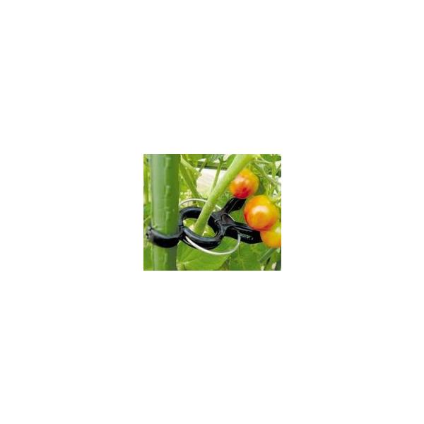 �����~�߃N���b�v 20�R���� 16-20mm�p ���r�j�[�� ��TD ���i�摜1