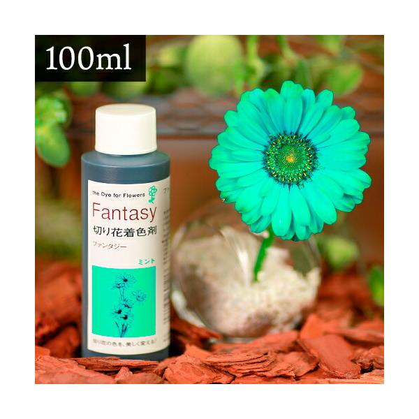 パレス化学 切花着色剤ファンタジー 100ml ミント 切り花 着色 レインボー フラワー アレンジ 切り花着色剤 Z