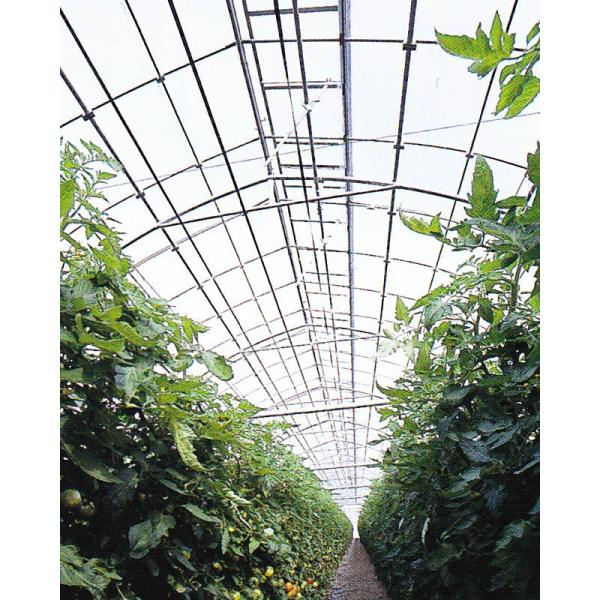 ビニールハウス資材 400 フィルムの人気商品 通販 価格比較 価格 Com