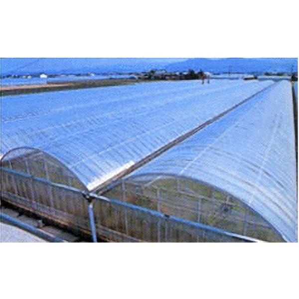 ノービエースみらい 0.1mm厚 600cm幅 25m 透明 農業用 ビニール