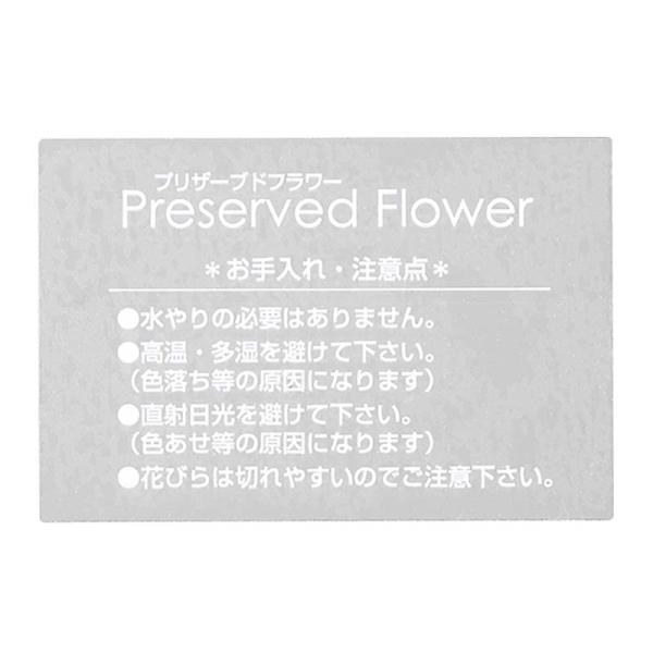 透明 シール シート - DIY・工具の人気商品・通販・価格比較 - 価格.com 透明 シール シート - DIY・工具の人気商品・通販・価格比較 - 価格.com