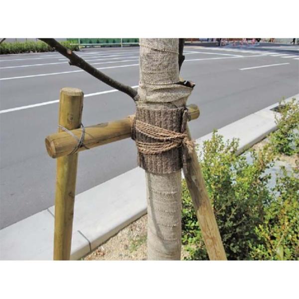 人工杉テープ　15cm✖︎10m 4巻 plusys_906903