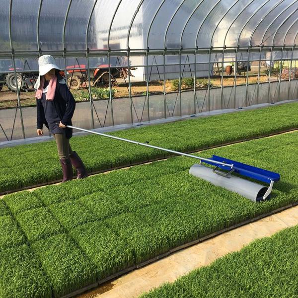 育苗　転圧ローラー 育苗転圧ローラー TR-1250 健苗 苗踏みローラー 水稲 の 密播 密苗 疎