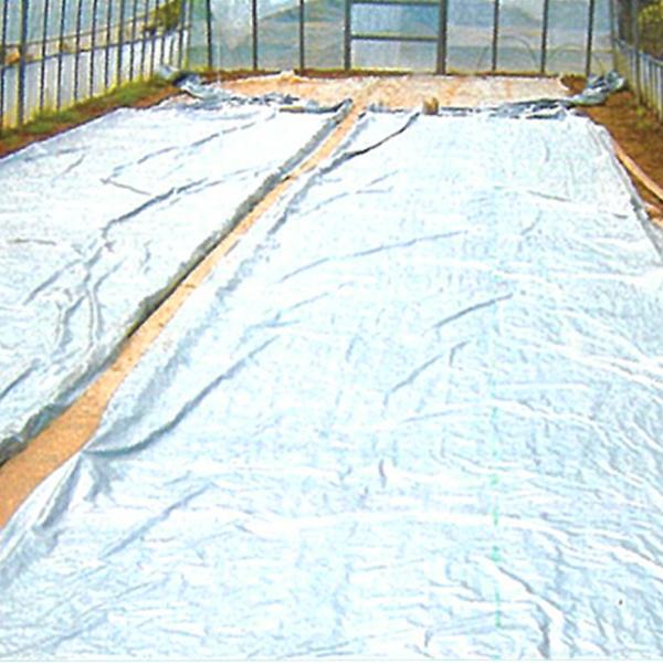 2本 シルバーポリトウ 水稲 用 ＃90 0.05mm×210cm×50m 育苗 に