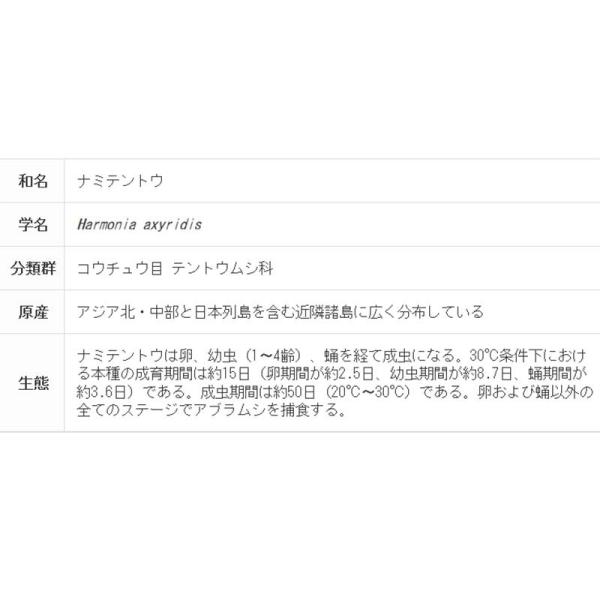 ２および３齢幼虫 テントップ 園芸用品 天敵製剤 肥料 薬品 アブラムシ類駆除 300ml タ種 ナミテントウ アグリセクト 時間指定不可 ナミテントウ 100頭 要着日指定 代引不可 プラスワイズ法人専門店