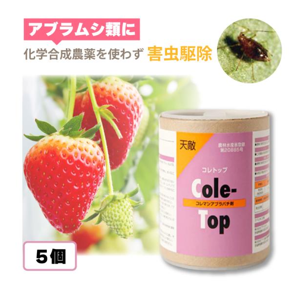 5個 天敵製剤 コレトップ 250頭 100ml コレマンアブラバチ アブラムシ類駆除 ハウス ビニールハウス 施設栽培 野菜 農業 農作物 アグリセクト タS 代引不可