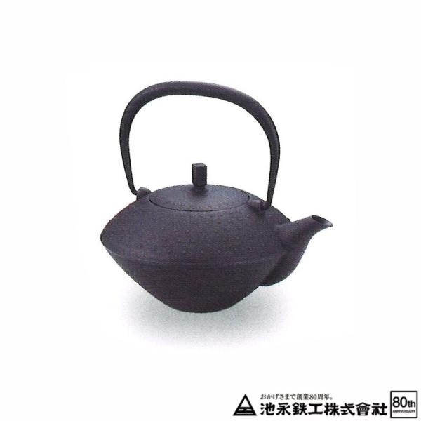 南部鉄瓶 急須 粋 (sui) 池永鉄工 南部池永 約0.45L 南部鉄急須 南部