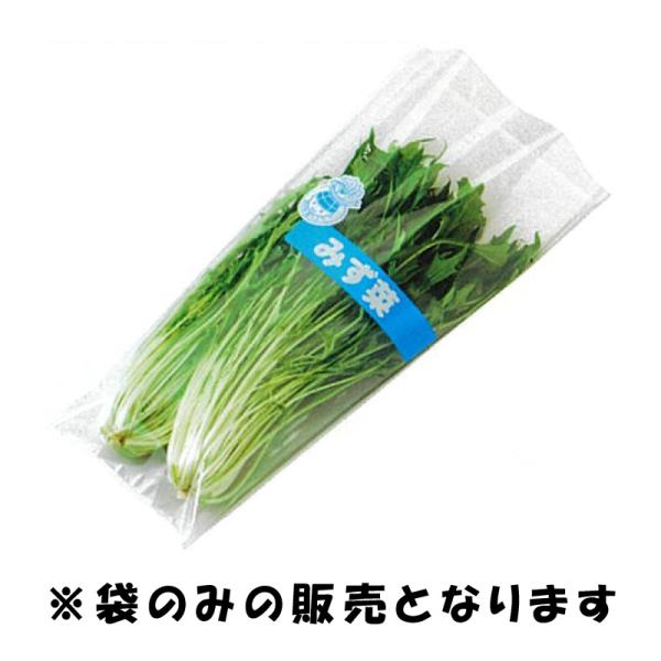 plusysbtob_406948
