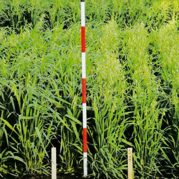 水田後作など転換作物に。積雪地帯など従来のベッチでは生育が難しかった地域。九州沖縄農業研究センター育成 OECD登録品種●特性・特徴越冬性に優れ、積雪地帯での利用に優れる。晩生で生育期間が長いため、有機物量が豊富。アレロパシー効果が高く、強...