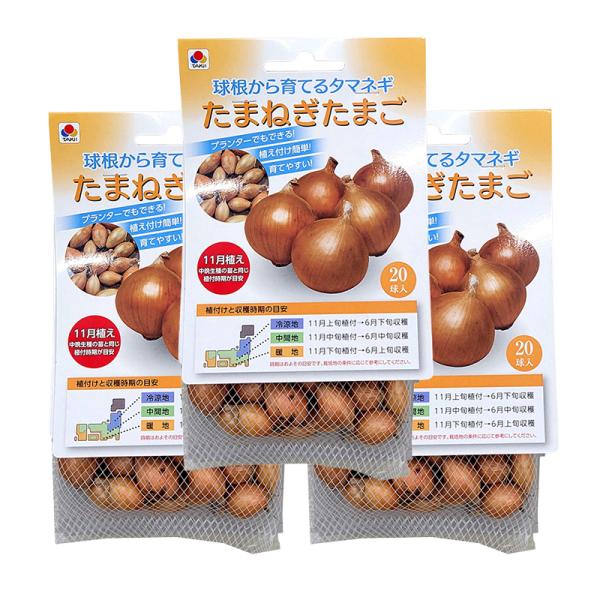 オトクな3袋セットプランターでもできる！植え付け簡単！育てやすい！生産地：北海道薬物処理なし品種：ネオアース冷涼地：11月上旬植付→6月下旬収穫中間地：11月中旬植付→6月中旬収穫暖　地：11月下旬植付→6月上旬収穫※時期はおおよその目安で...