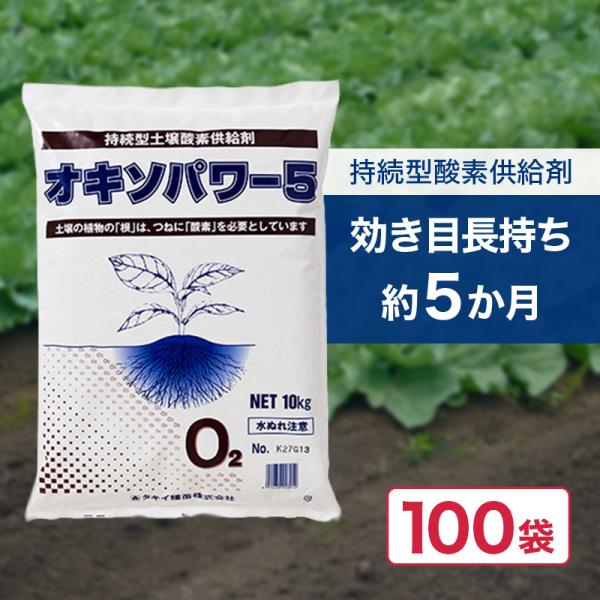 100袋 オキソパワー5 酸素供給剤 10kg 国産 発根促進 根張り 肥料 吸収率 向上 効き目 長持ち 酸素供給 台風 豪雨 対策 タキイ種苗 個人宅配送不可 代引不可