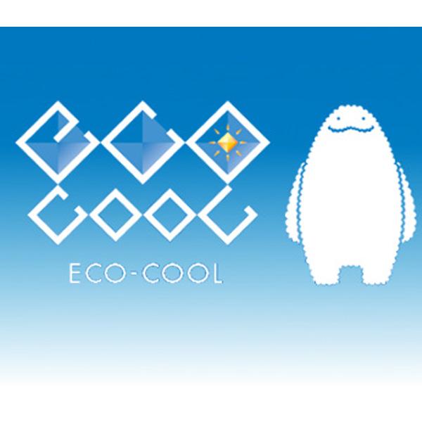 遮熱塗料 エコクールアクアSi 15kg 一般濃色 屋根用 水性シリコン樹脂