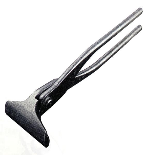 plusyskenchiku_510088