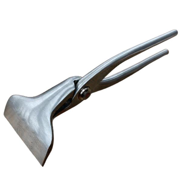 plusyskenchiku_514698