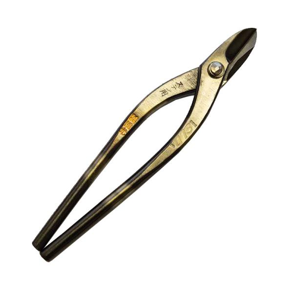 plusyskenchiku_564462