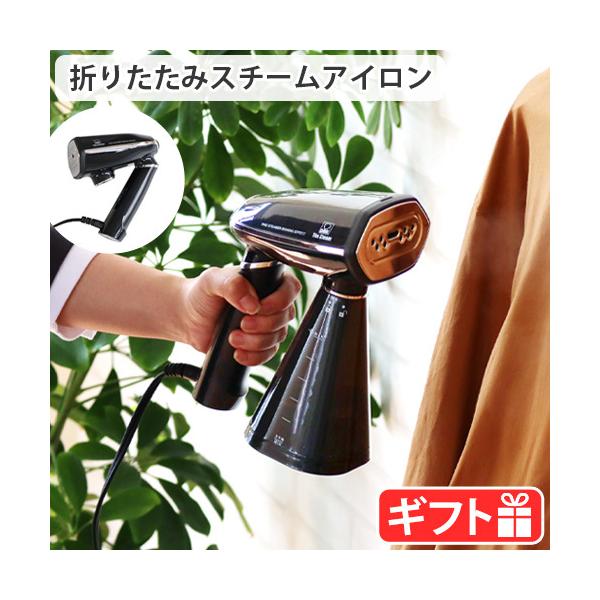 �X�`�[���A�C���� �U �X�`�[�� DBK The Steam JS350B