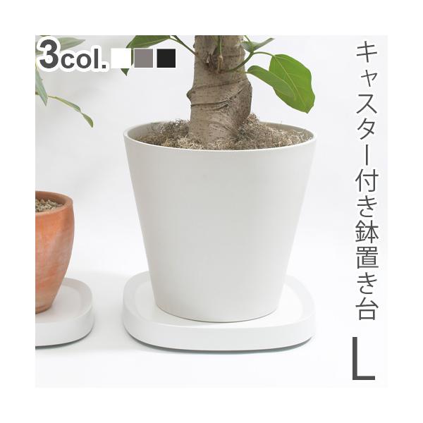 Aؔg[ LX^[ eBfB v^u [W tidy Plantable L