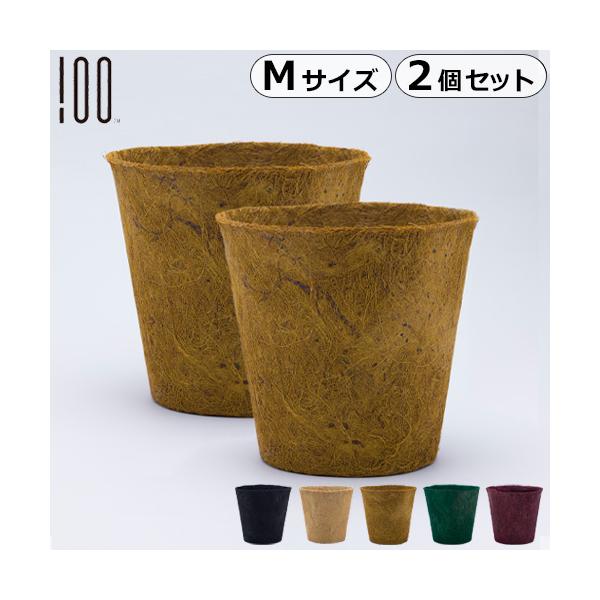 v^[Jo[ 6 7 8 A[X|bg Earth Pot MTCY 2Zbg