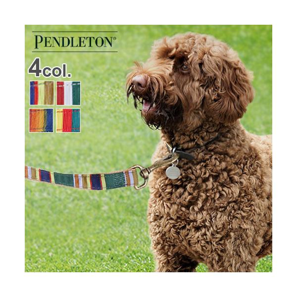 [h  yhg [nCJ[ hbO [V] PENDLETON Hiker Dog Leash