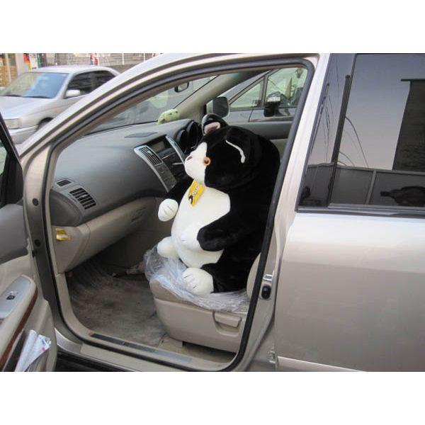 デブ猫 超特大こてつ 猫 ねこ ネコ ぬいぐるみ 動物雑貨 動物グッズ 全高60cm Buyee Buyee Japanese Proxy Service Buy From Japan Bot Online