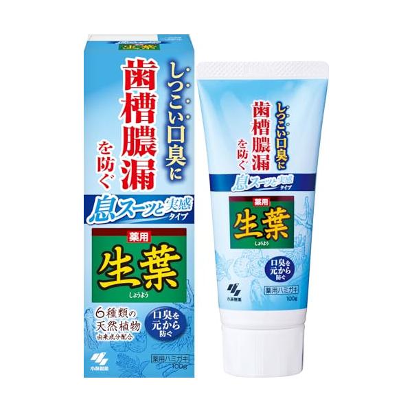 生葉 (しょうよう) 息スーッと実感タイプ 歯槽膿漏を防ぐ 薬用ハミガキ 和漢ハーブの香味 しつこい口臭に 100g 【医薬部外品】