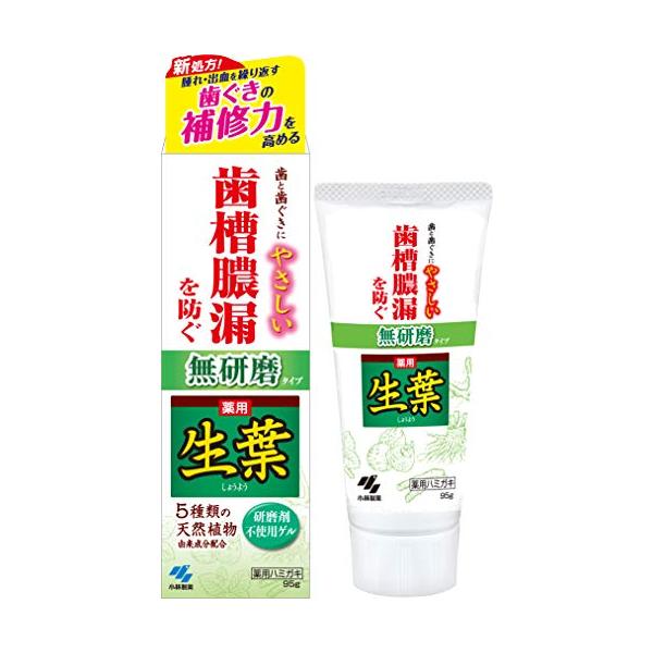 生葉(しょうよう) 無研磨タイプ 歯槽膿漏を防ぐ 薬用ハミガキ ハーブミント味 95g 【医薬部外品】