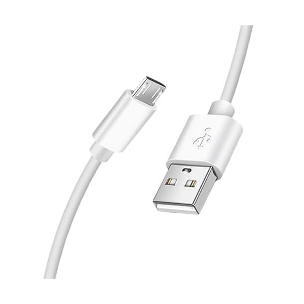 pocchi_1770088937-2457