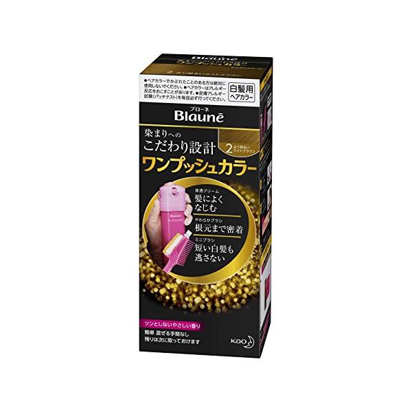 【ワンプシュタイプ】ブローネワンプッシュカラー 2 より明るいライトブラウン 80g [医薬部外品]
