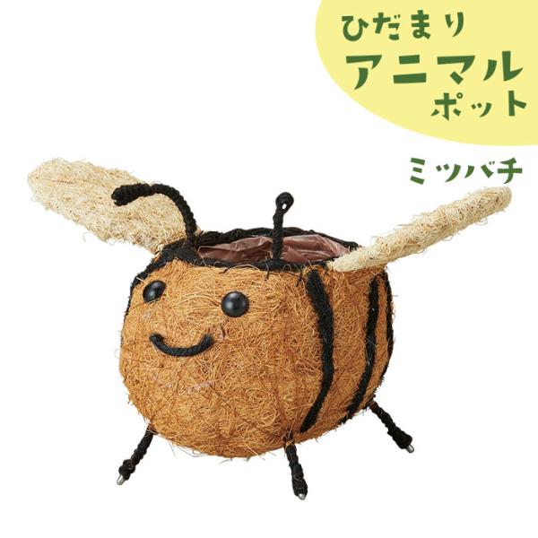GREEN HOUSE（グリーンハウス） 植木鉢 かわいい 穴なし ひだまり