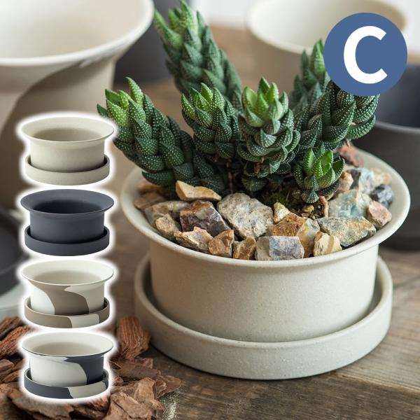 pocchione-kogu_gg634309