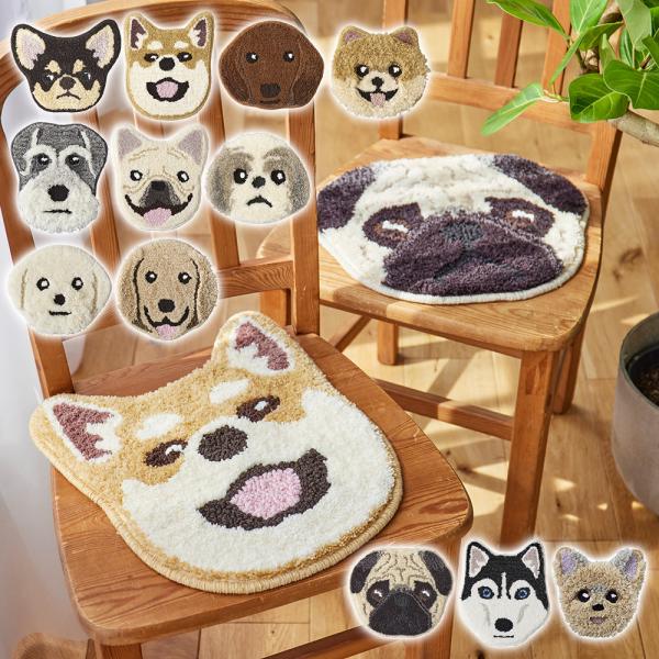 クッション・座布団 separate bath&toilet minnano BIG DOG pocchione-kogu_pa337606