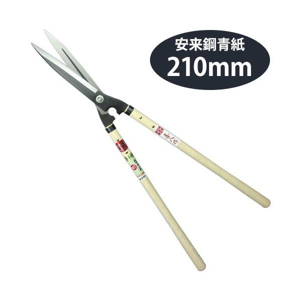 pocchione-kogu_to804005