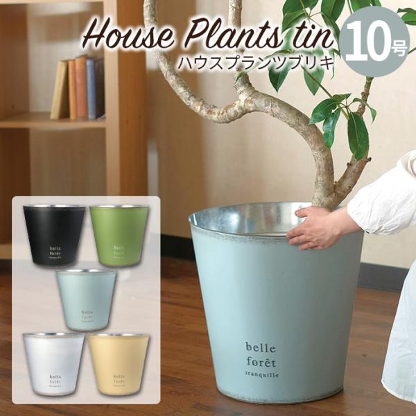 pocchione-shuno_gg235371