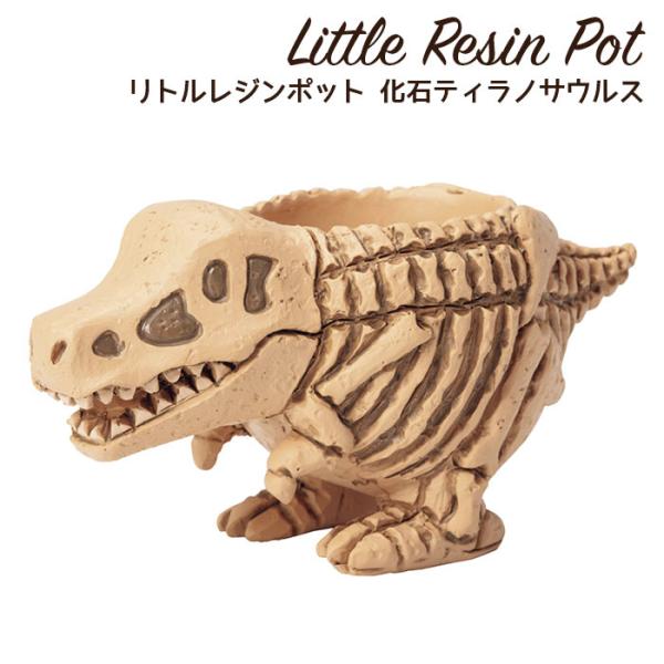 植木鉢 ミニ かわいい 軽い リトルレジンポット 恐竜シリーズ 化石