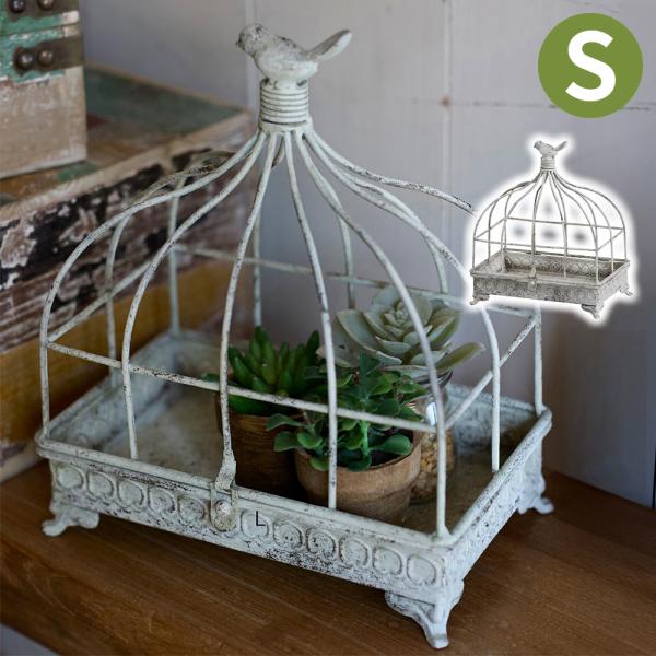 pocchione-shuno_gh143057