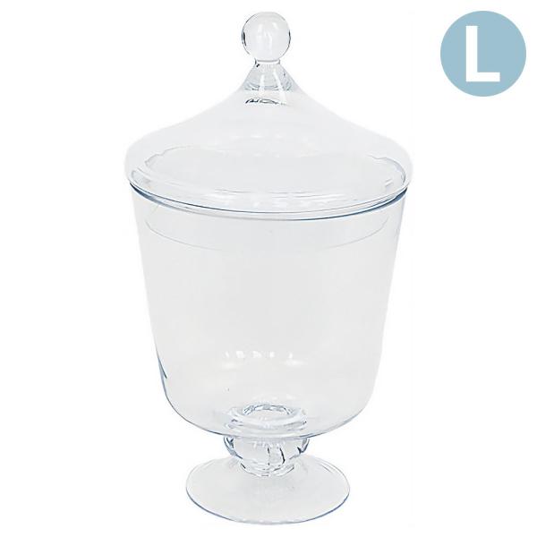 pocchione-shuno_go715586