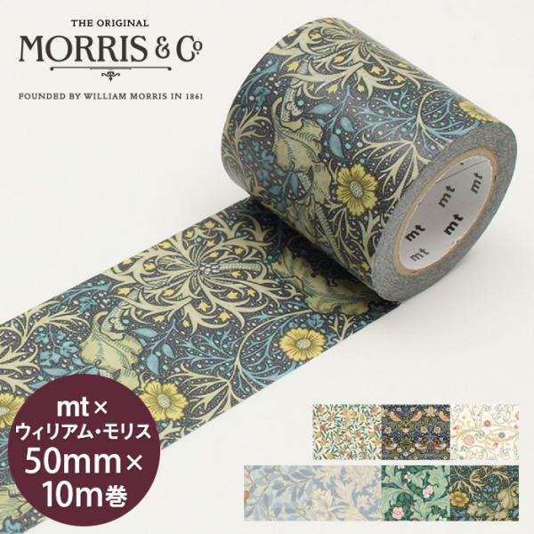 pocchione-shuno_pa217041