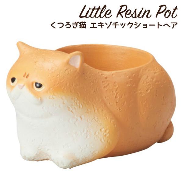 植木鉢 ミニ かわいい 軽い リトルレジンポット くつろぎ猫 エキゾチックショートヘア