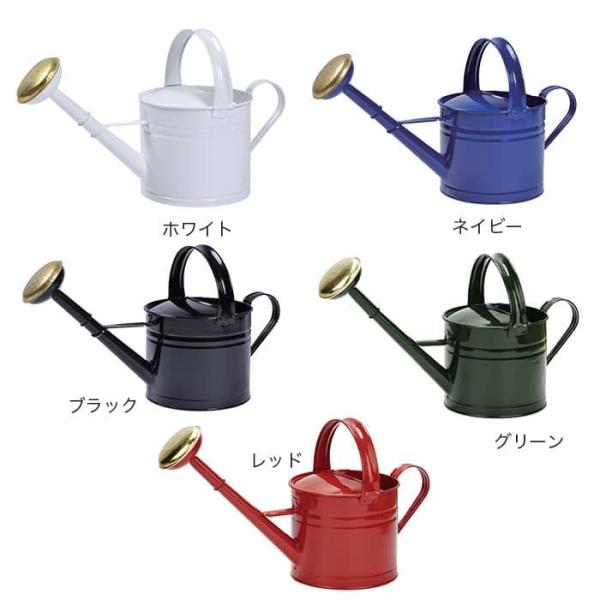 Do!earth＆green じょうろ ブリキウォータリングカン4L : ポッチワン