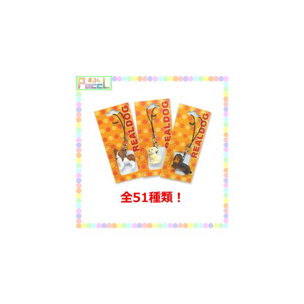 アフロ犬【希少】入手困難 ストラップ♡チャーム♡ファスナーマスコット♡+おまけ♡ アフロ犬【希少】入手困難 ストラップ♡チャーム♡ファスナー