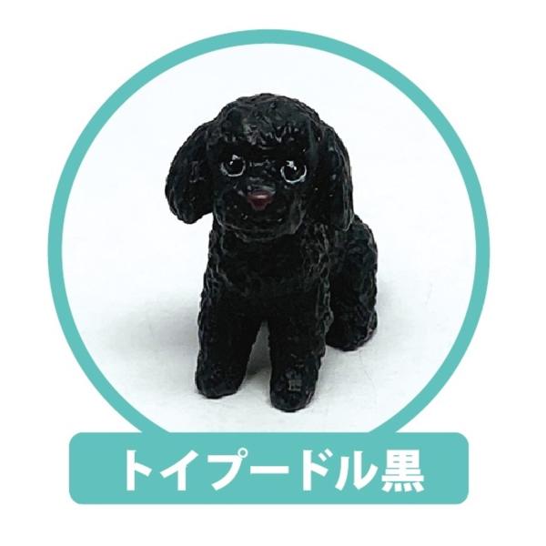 プードル キャラクター 文房具 文具の人気商品 通販 価格比較 価格 Com